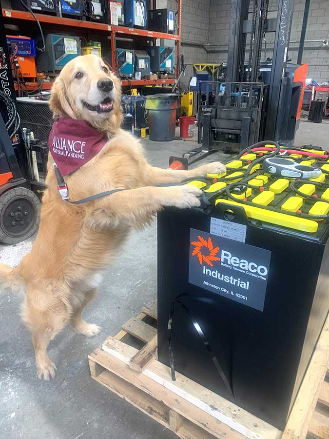 Levi Approved Forklift Battery