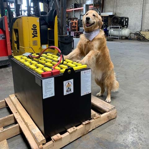 Forklift Battery Maintenance